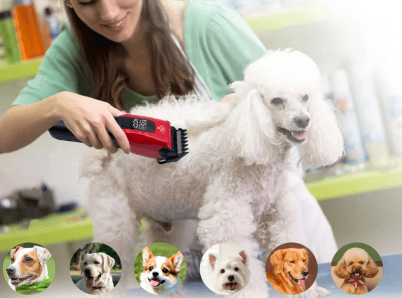 Electric trimmer for pets
