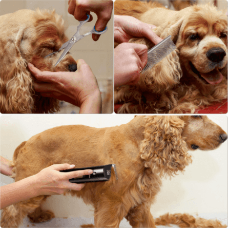 HATTRKER Pet Hair Clipper Professional Rechargeable Grooming Cutters for Animal Barber Scissors SK691 - HATTEKER